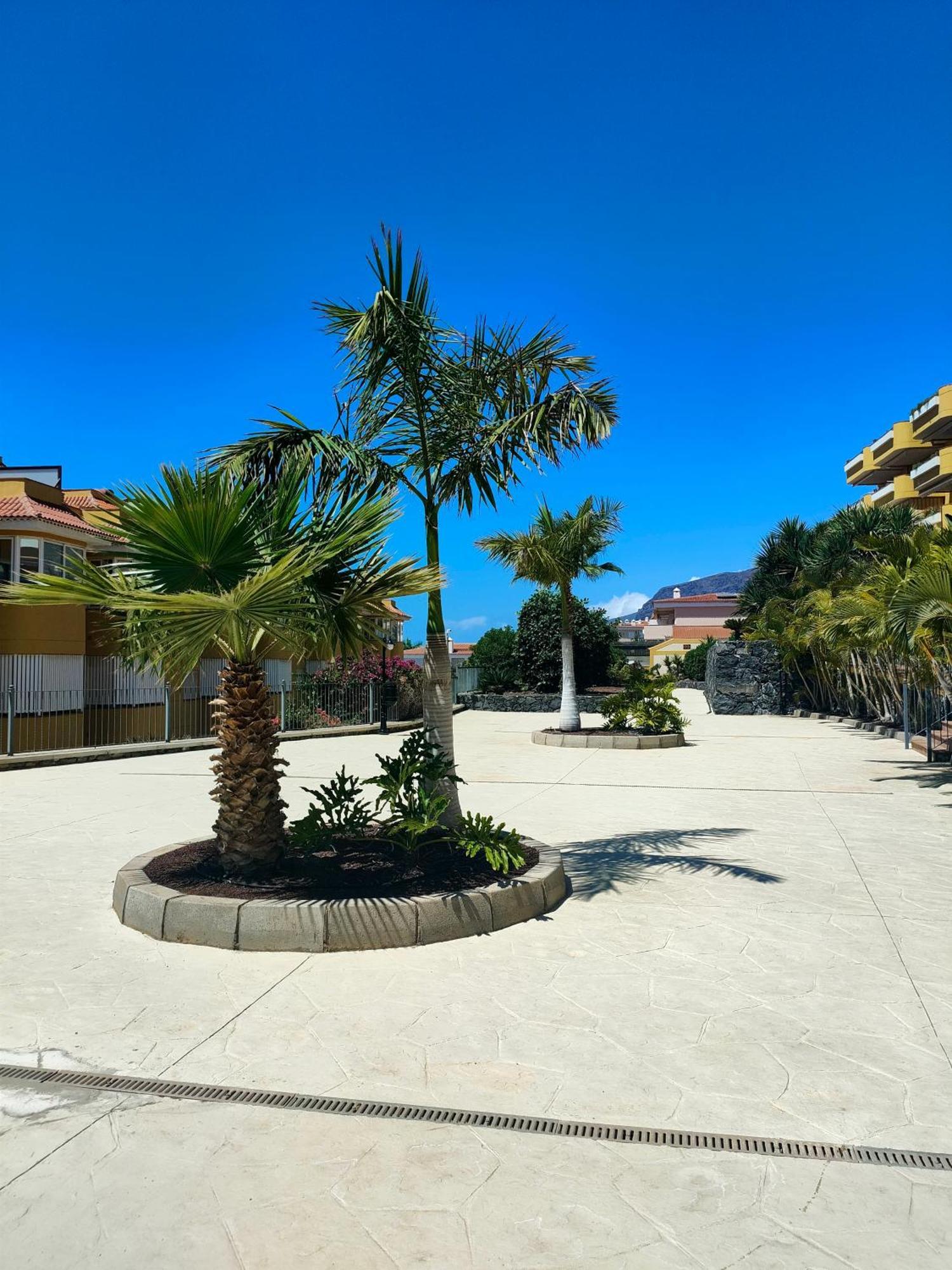 Belvedere Penthouse Puerto de Santiago  Zewnętrze zdjęcie